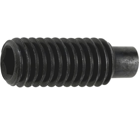 Винт СаМат Плюс уст. вн.6-гр/ц М12х25 DIN 915 (10 шт) KRP-3320