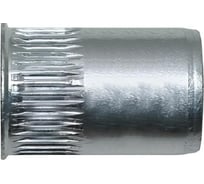 Заклепка-гайка ОПМ 110004 М 4х10 zn РИФ с умен. бортиком 1000 шт УТ000154710