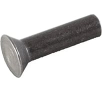 Заклепка ОПМ ГОСТ 10300-80 d20х58 10 шт УТ000166486