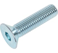 Винт ЦКИ Глобал ISO10642 DIN7991 М 8х65 010.9 HEX5 200 шт 99188692