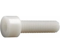 Винт Insparion 5х10 DIN 912, полиамид, пластик, (10шт) С1-00003668