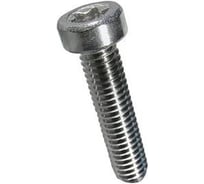 Винт ЦКИ Глобал ISO14580 DIN7984 М 4х8-8 08.8 TX20 Ц 1000 шт 99182010