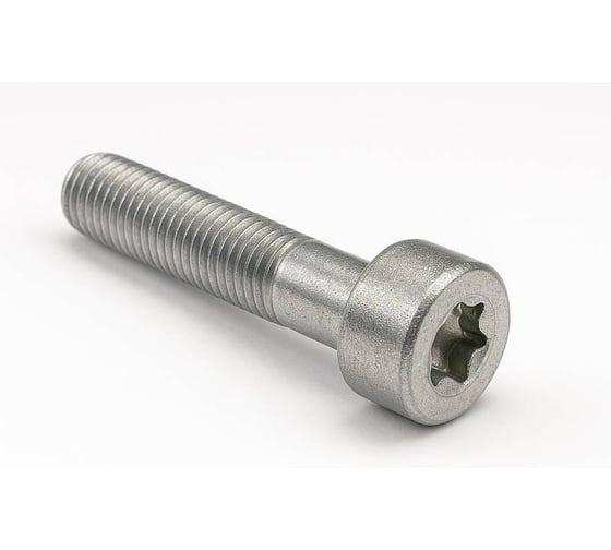 Винт ЦКИ Глобал ISO 14579 М 4х20 A2-70 TX20 полн.резьба 100 шт 99159283