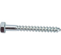 Шуруп СаМат Плюс 6-гр.гол., 6х 50 оц. DIN 571 (35 шт) KRP-10351