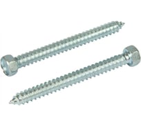 Саморез КВАДРА DIN 7976, 5.5x60, цинк, 6-гр. голова, острый, кор. 100 шт. 765560003101