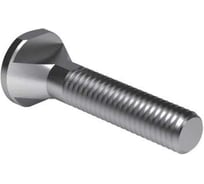 Винт Elesa+Ganter DIN 787-10-M10-63 4687207696203