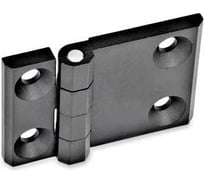 Петля Elesa+Ganter GN 237-ZD-63-50-A-SW