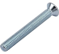 Потайной винт Метизный двор M6x45, DIN 965, 100 шт. 4607159066862