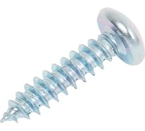 Шуруп с полукруглой головкой Метизный двор 5.5x22, оцинкованный, DIN 7981, 250 шт. 4690441025593