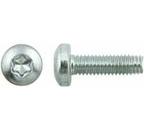 Винт ОПМ 101098 М 6х16 zn (~DIN 7500) Combi Torх-30 100 шт УТ000125527