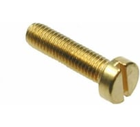 Винт ЦКИ Глобал DIN84 М1.6х4 лат. SL 2.5х0.4 100 шт 99138955