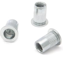 Резьбовые заклепки Дело Техники стальные, с насечкой, М5х13 мм, 50 шт. в пакете 457512