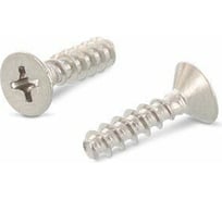 Саморез для пластика ЦКИ ART. 9090, потайн., притупленный, 3.5x10, A2, Ph2, 500 шт. 73301