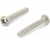 Саморез для пластика ЦКИ ART. 9091, скругл., притупленный, 4x14, A2, Ph2, 500 шт. 73317