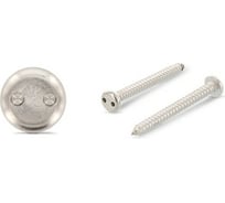 Антивандальный саморез ЦКИ ART.9100, 2.9x6.5, A2, SP4, 100 шт. 73214