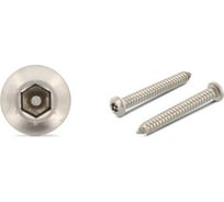 Антивандальный саморез ЦКИ ART.9110, 4.2x32, A2, HEX TR, 100 шт. 73228