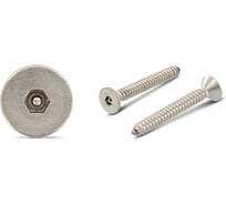 Антивандальный саморез ЦКИ ART.9112, 4.8x50, A2, HEX TR, 100 шт. 73243