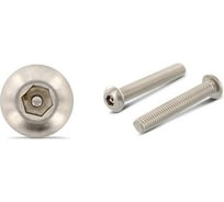 Антивандальный винт ЦКИ ART.9111, М6x30, A2, HEX TR 4.0, 100 шт. 71297