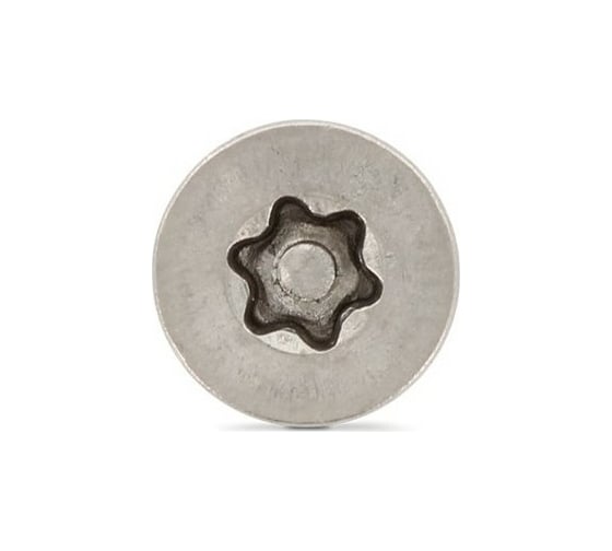 Антивандальный винт ЦКИ ART.9123, М6x40, A2, TX TR 30, 100 шт. 71368