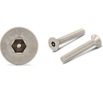 Антивандальный винт ЦКИ ART.9113, М6x12, A2, HEX TR 4.0, 100 шт. 71303