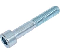 Винт ЦКИ Глобал DIN912 ISO4762 М24х45-45 10.9 HEX19 ц 5 шт 99179224
