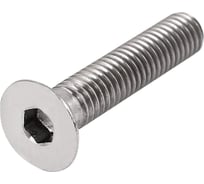 Винт ЦКИ Глобал ISO10642 DIN7991 М 8х90-90 010.9 HEX5 ц 50 шт 99188697