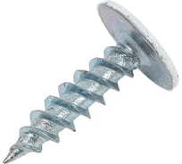 Саморез с пресс-шайбой КВАДРА крашеный, острый конец, 4.2x16, RAL 9003, кор. 100 шт. 900316107100