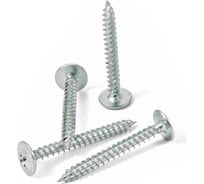 Саморез КВАДРА пресс-шайба, острый конец, 4.2x25, цинк, уп. 50 шт. 420251508120