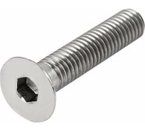 Винт ЦКИ Глобал DIN 7991 ISO 10642 М10х22-22 8.8 HEX6 ц 100 шт 991100994