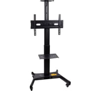 Мобильная стойка ARM MEDIA PT-STAND-11 black 10240