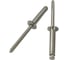 Заклепка вытяжная полукруг boltnn.ru DIN 7337 3,2х6 ст/ст 1000 шт 4687207998772 1