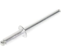 Заклепки TOLSEN 4x12.7 мм 43010