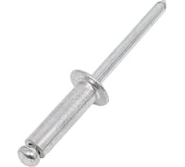 Заклепки TOLSEN 4.8x16 мм 43012