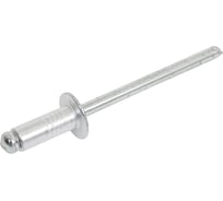 Заклепки TOLSEN 4x10 мм 43009