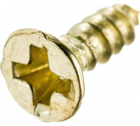 Декоративный саморез Левша 5x4 50 шт. золото У8-9469.З