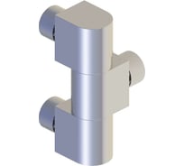 Профильный шарнир ТРИЗАМ (60х20 мм; латунь; хром) TRZ0081