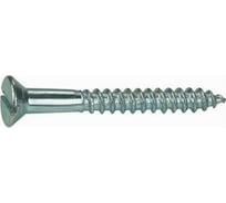 Шуруп ЦКИ DIN 97 2.5x10 A2 500 шт. 74395