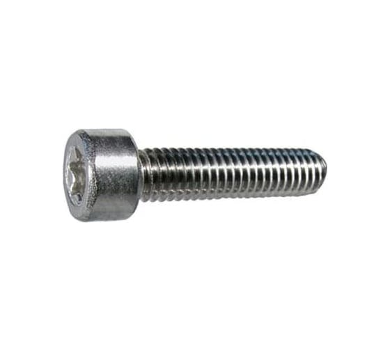 Винт ЦКИ Глобал ISO14582 ~DIN7991 М 4х10-10 A2-070 TX20 200 шт 99120029