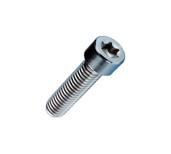 Винт ЦКИ Глобал ISO 14579 М 2.5х6 A2-70 TX8 полная резьба 100 шт 99156175