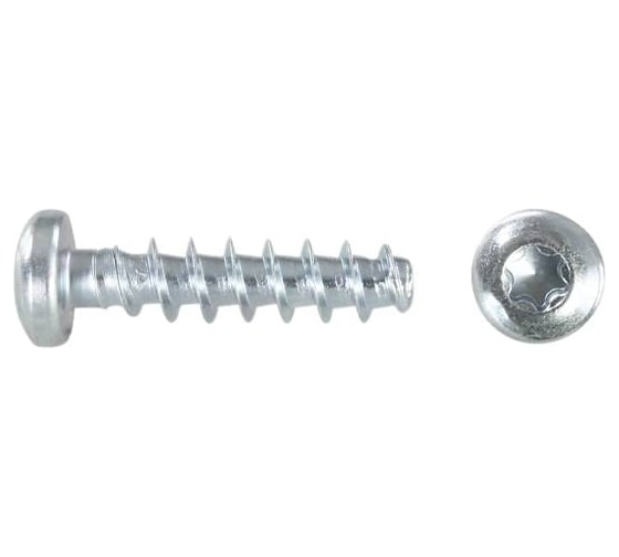 Саморез для пластмасс скругл ЦКИ Глобал 2,5х8-TX8 Ц 50 шт ART88200 991102711