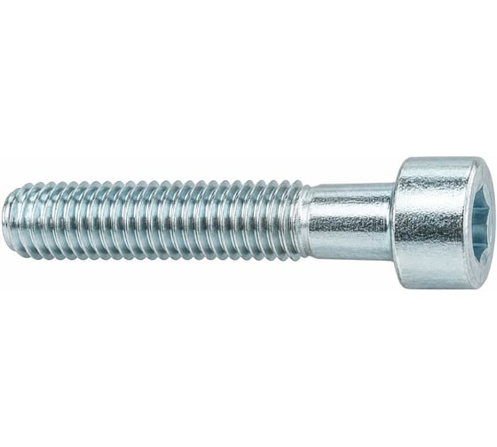 Винт с полукруглой головой и внутренним шестигранником TOOLAS М04 х 06 (10,9) ,100 шт. 12159