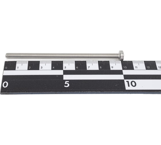 Винт Метиз-Эксперт М5x100, нерж. А2, DIN 7985, 100 шт. 00-00017739