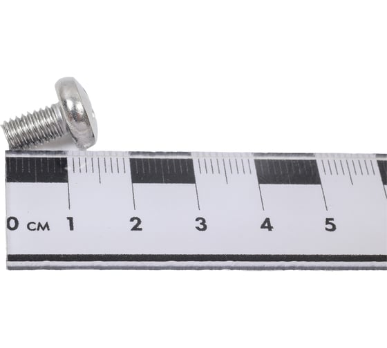 Винт Метиз-Эксперт М6x10, нерж. А2, DIN 7985, 250 шт. 00-00017761