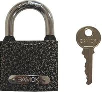 Навесной замок РемоКолор (чугун; 3 ключа; цилиндровый механизм; автоматический; личинка-латунь; 32x49x15 мм; дужка 5 мм) 70-0-932