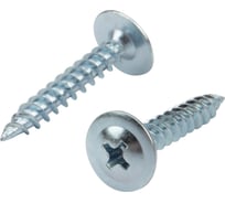 Саморез с прессшайбой KRANZ ПШС острый, 4.2x25, 20 шт. 1172-4225-4