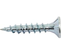 Шурупы ЕВРОПАРТНЕР TooSpeed 4,5x25 30 шт., Бита TS2 SC41 2527 1