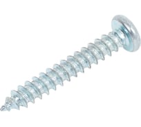 Шуруп с полукруглой головкой КРЕП-КОМП DIN 7981 2,9x19 150 шт. шп2919мф