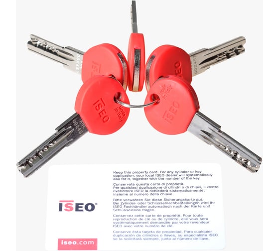 Цилиндр ISEO R65 NI 40хK30 мм, никелированный, 5 ключей 05803