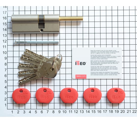 Цилиндр ISEO R65 NI 30хK30 мм, никелированный, 5 ключей 05801