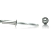 Комбинированные заклепки KITKREP 3,2x15, цинк, 1000 шт. RI32015G1